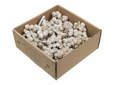 Eikeltjes op Steel White Wash 440 gr 