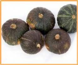[A-001795] Hokkori F1 Kabocha Pompoen 250 zaden