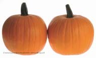 [A-008274] Corvette F1 Halloweenpompoen zaden