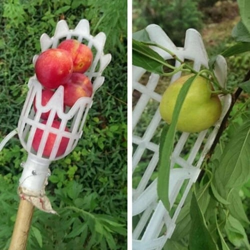 [A-024371] Fruitplukker Wit Klein Zonder steel