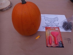 [A-005552] Pompoen uitsnijsetje setje om pompoenzaden uit te snijden carvingkit