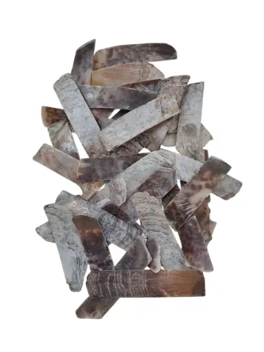 [A-010015] Placuna Raisorblade Shell Stroken Schelp 250 gram
