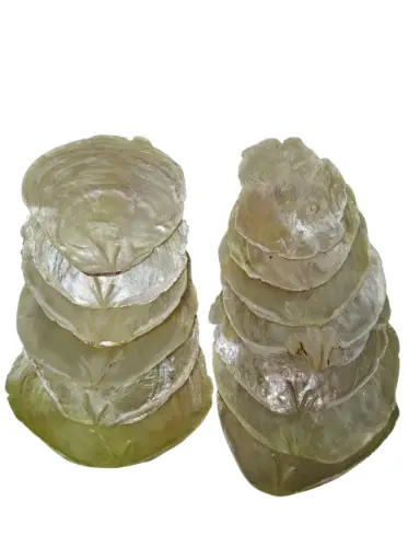 [A-010030] Capiz Camar schelpen lichtgroen, 250 gram