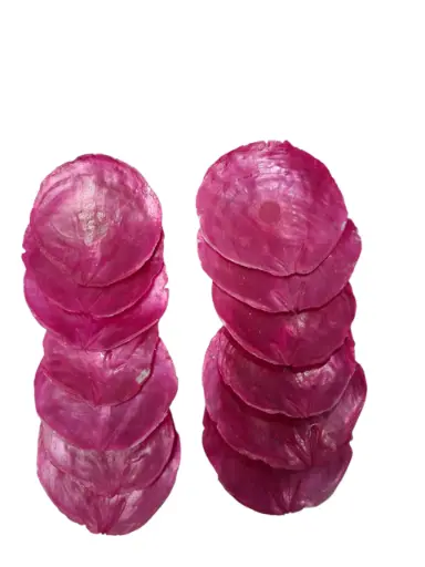 [A-010031] Capiz Camar schelpen roze/fuchsia, 250 gram