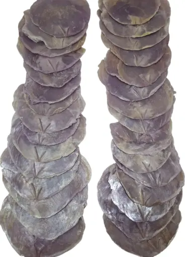 [A-010119] Capiz shell Camar lila 500 gram Geverfde schelpen