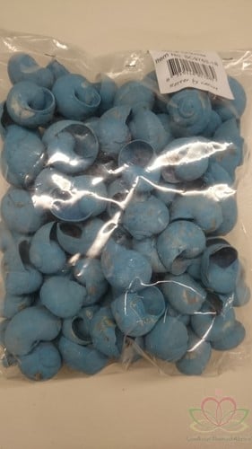 [A-010197] Landsnail small geverfde schelpen Turquoise 250 gram