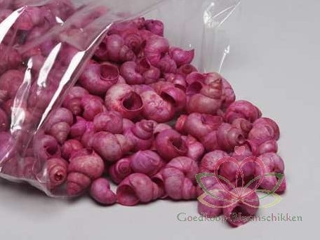 [A-010746] Umachi schelpen pink washed, 1 kilo