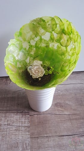 [A-011170] Capiz Camar schelpen Appelgroen 500 gram