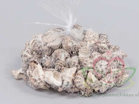[A-011707] Thais Rustica Schelpen 350 gram
