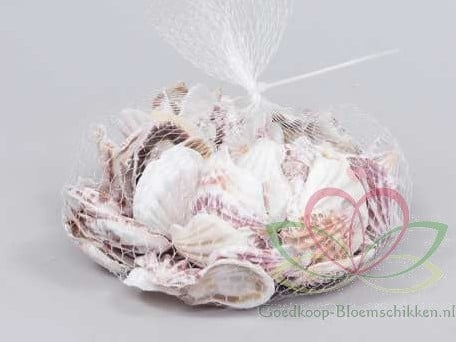 [A-011709] Decato Pecten Plica Jacobsschelp ca. 350 gram