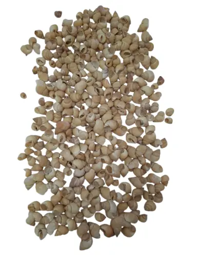 [A-011719] Umachi Schelpen Naturel 250 gram
