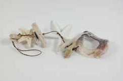 [A-012277] Schelpen- en zeesterhanger 40 cm