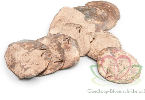 [A-012819] Capiz Camar schelpen Koper 500 gram