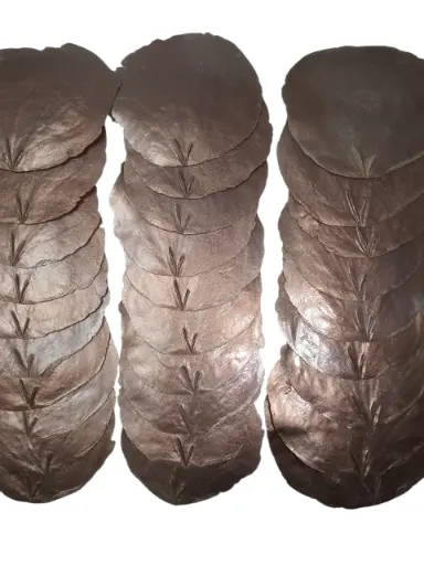 [A-012835] Capiz Camar schelpen Metallic Champagne 500 gram