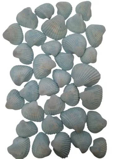 [A-013197] Chippy Big Pastel schelpen Blue washed 1 kilo