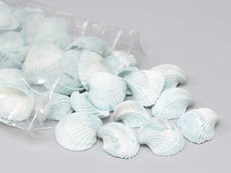 [A-013206] Chippy Pastel schelpen Blue washed 1 kilo