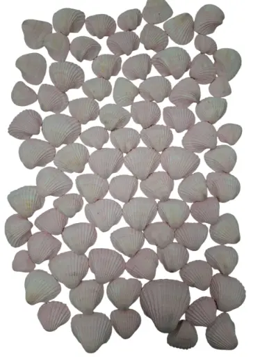 [A-013209] Chippy Pastel schelpen pink washed, 1 kilo