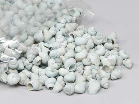 [A-013212] Umachi schelpen blue washed, 1 kilo