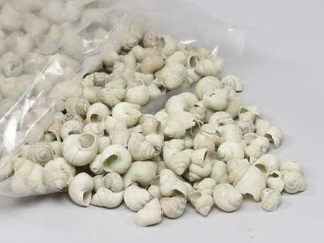 [A-013213] Umachi Schelpen Groen Washed 1 kilo