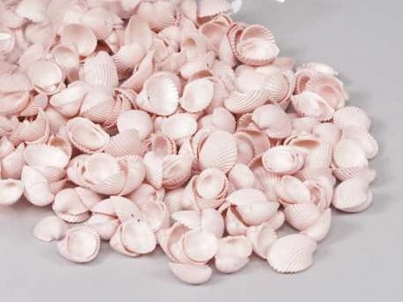 [A-013444] Clamrose schelpen Pink washed 1 kilo