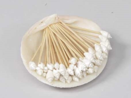 [A-013445] Tigrina White Nass Schelpen op stokje 50 stuks