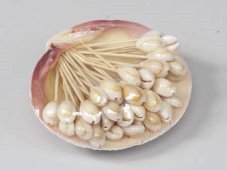 [A-013446] Tigrina Annulus Cook Schelpen op stokje 50 stuks