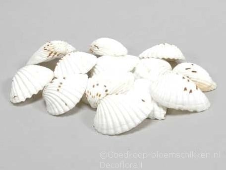 [A-015109] Tiger Chippy Schelpen Naturel 1 kilo