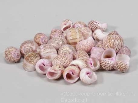[A-015116] Pull Muttai schelpen roze, 500 gram