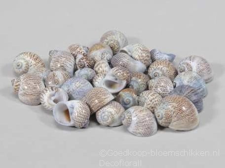 [A-015118] Pull Muttai Schelpen Blauw 500 gram