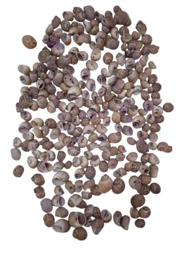 [A-015120] Pull Muttai Schelpen Lila 500 gram