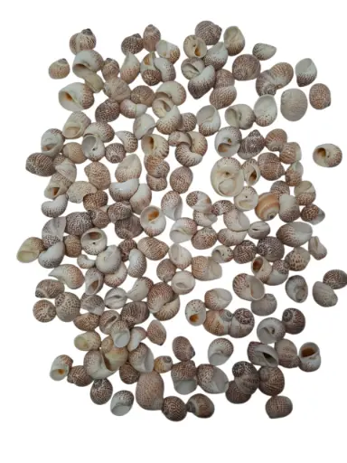 [A-015121] Pull Muttai schelpen naturel, 500 gram