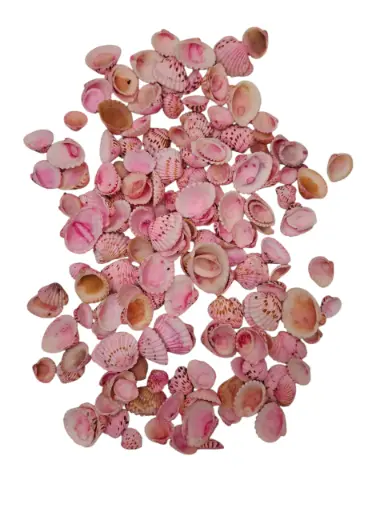 [A-015122] Tiger Chippy schelpen roze, 500 gram