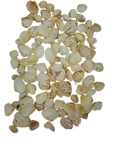 [A-015123] Tiger Chippy Schelpen Geel 500 gram