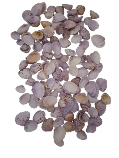 [A-015126] Tiger Chippy schelpen lila, 500 gram