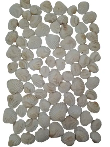 [A-015128] White Chippy Mini Naturel 1 kilo