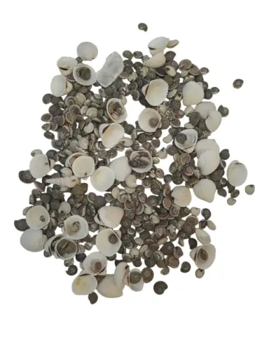 [A-015229] Schelpenmix Mini 150 gram