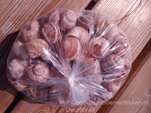 [A-015899] Landsnail small geboorde schelpen Naturel 250 gram