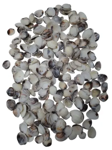 [A-017118] Karandai Chippy schelpen 1 kilo