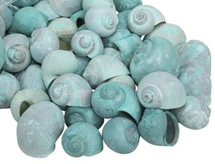 [A-017122] Nattai schelpen groen washed, 500 gram