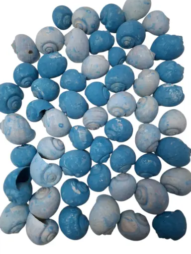 [A-017123] Nattai schelpen blue washed, 500 gram
