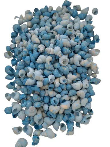 [A-017125] Umachi Schelpen Blauw 500 gram