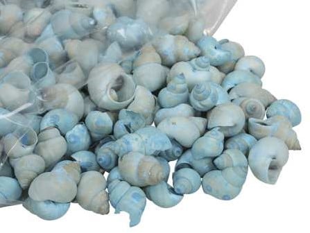 [A-017125] Umachi Schelpen Blauw 500 gram