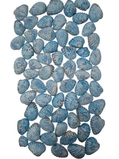 [A-017129] Tiger Chippy schelpen blauw, 500 gram
