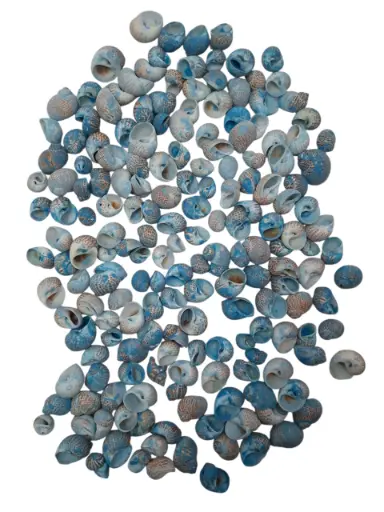 [A-017133] Pulla Muttai Schelpen Blauw 500 gram