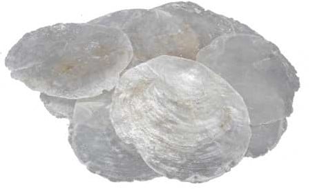 [A-018305] Capiz Shell Camar schelpen 5-10 cm 1 kilo