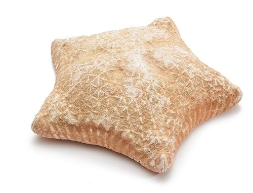 [A-018859] Zeester Pillow Starfish