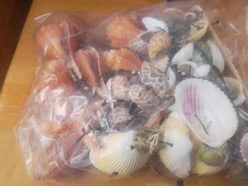 [A-022148] Schelpenhanger WC Bamboe Kerang gemengd 