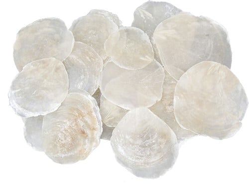[A-022228] Capiz Camar schelpen 1 kilo