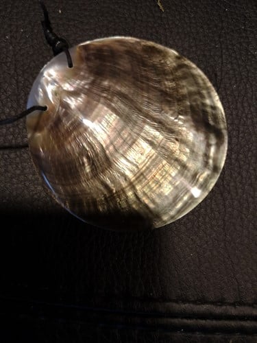 [A-022230] Gepolijst Nautilus schelp met gaatje voor hanger of sieraad/ketting uniek stuk