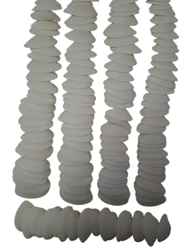 [A-025648] Dinh Ba Cockels Schelpen 3,5-4,5 cm 450 gram